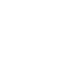 previous question